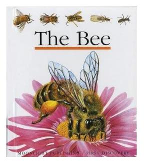 The Bee 蜜蜂 商品图0