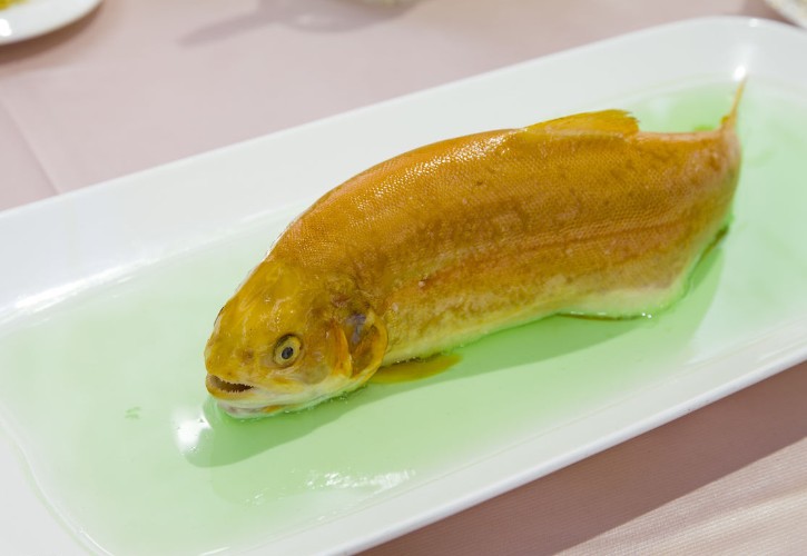 秦岭深山吕氏金鳟鱼