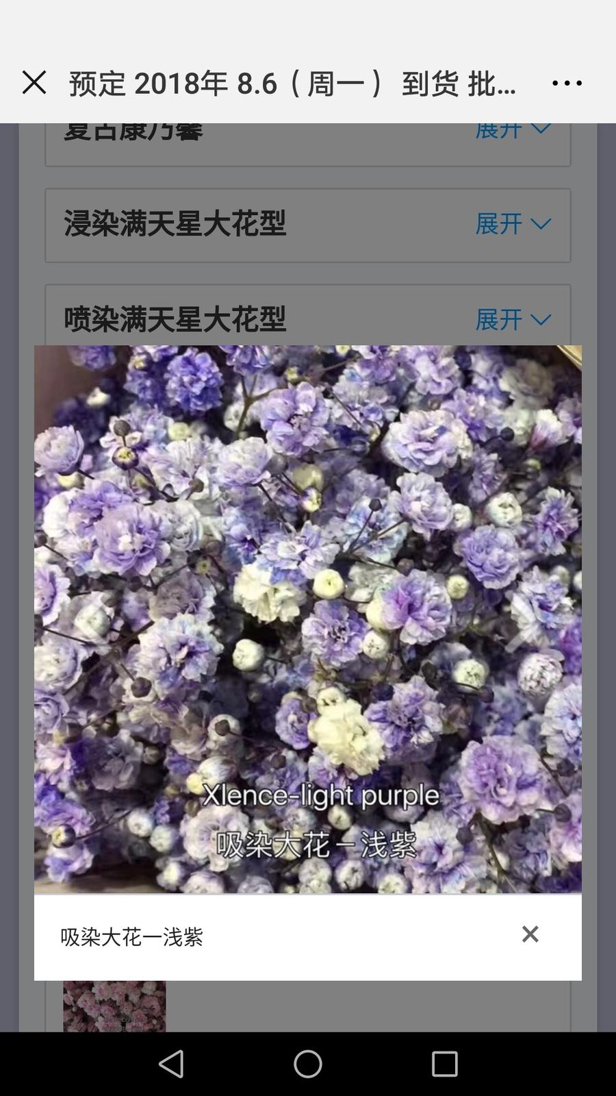 进口 浅紫星花 大扎 约750g