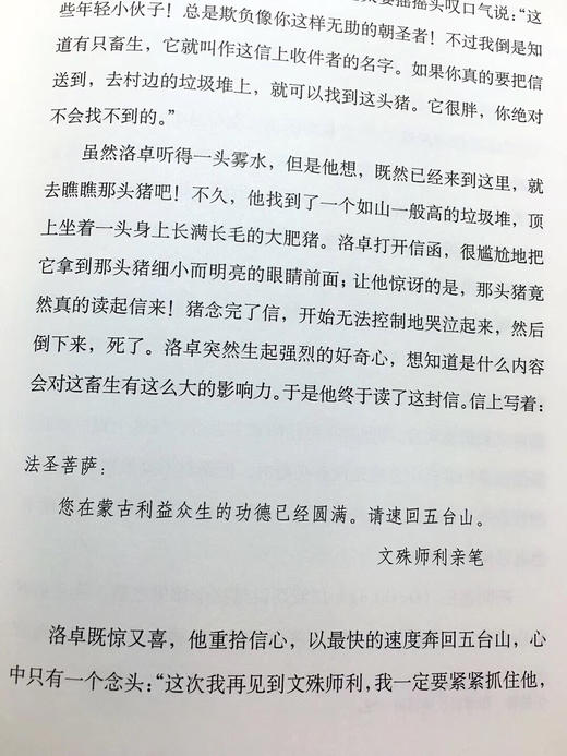 朝圣 新版精装珍藏版  宗萨蒋扬钦哲仁波切著  一本指引你步向证悟之道的佛学经典 商品图7