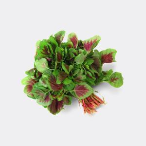 有机红米苋500g 商品图1