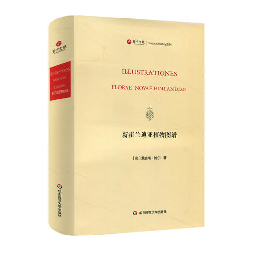 寰宇文献 新霍兰迪亚植物图谱 英文原版影印 lustrationes Florae NovaeHolland 商品图0