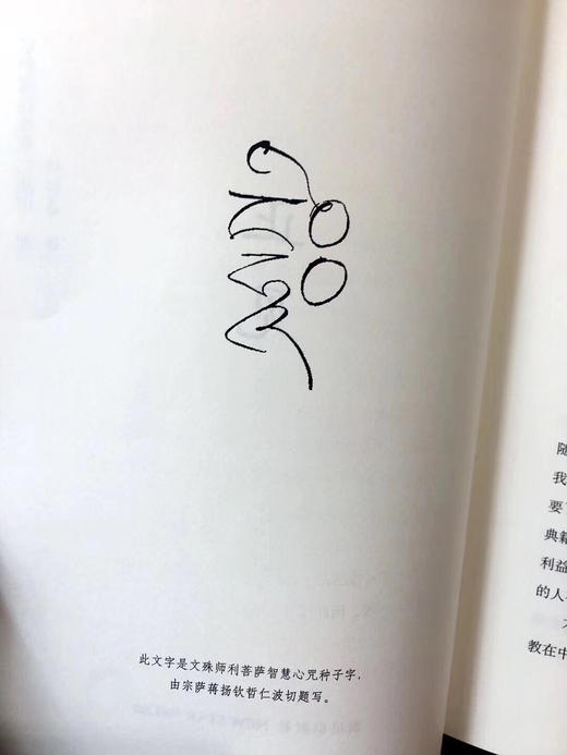 正见  精装版本  珍藏版 宗萨仁波切 著    李连杰、胡因梦作序推荐 商品图3