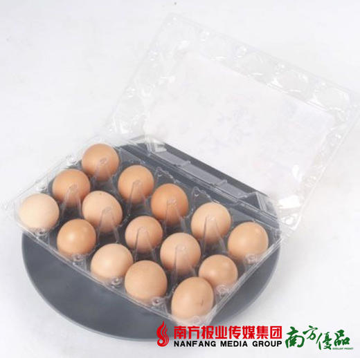 【蛋像软糯】江汉土鸡蛋 15枚（约550g）【拍前请看温馨提示】 商品图1