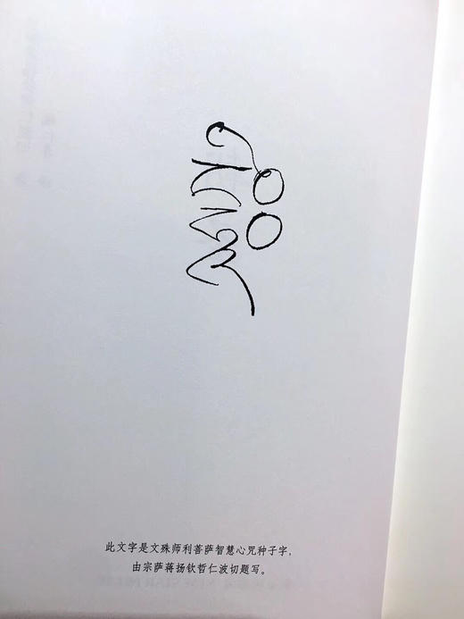 朝圣 新版精装珍藏版  宗萨蒋扬钦哲仁波切著  一本指引你步向证悟之道的佛学经典 商品图3