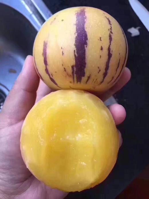 强烈推荐甜水分超足云南石林七彩人参果熟果中果约45斤