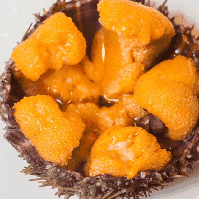 乐阳江茶都点￥88超大煲海胆饭158元3人吃到爽