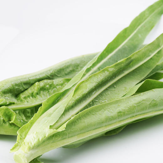 油麦菜300g 商品图5