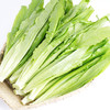 年卡-油麦菜300g 商品缩略图0