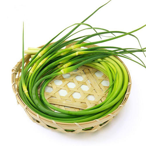 蒜苔(蒜苗)