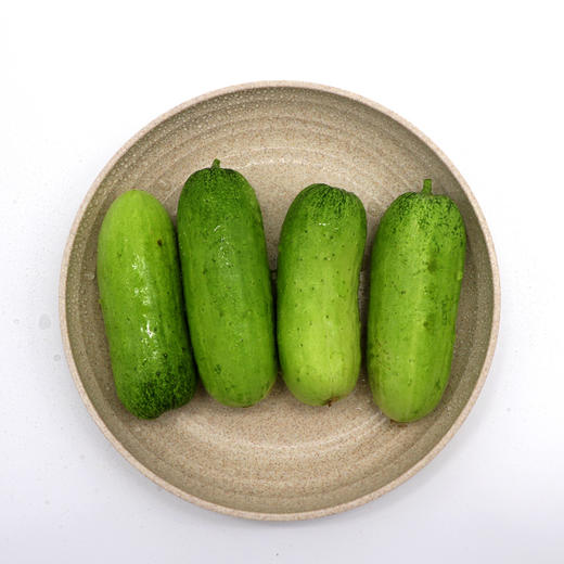 会员选菜秋黄瓜500g