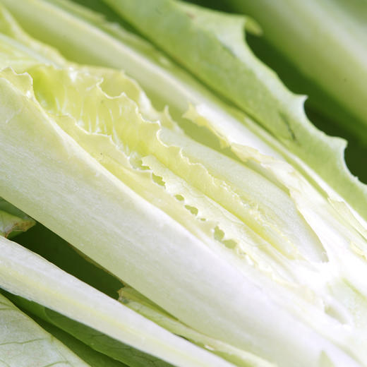 油麦菜300g 商品图4