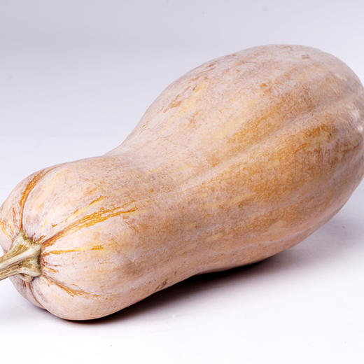蜜本南瓜500g 商品图4