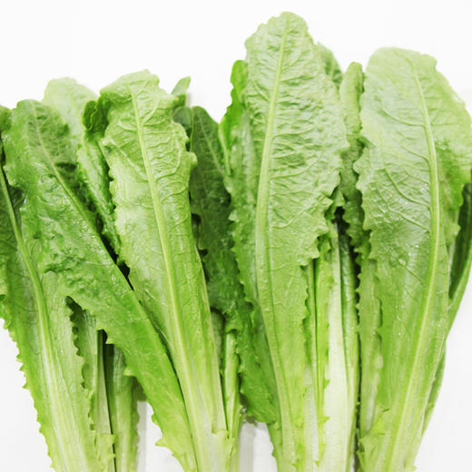 油麦菜300g 商品图2