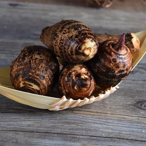 正宗启东香沙芋|250g/份