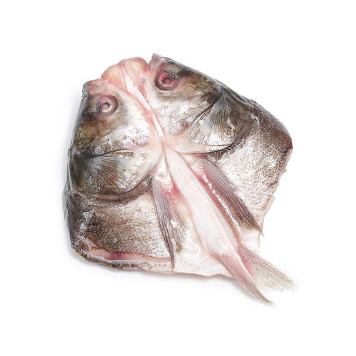 丹江口白鲢鱼头冷冻500g份