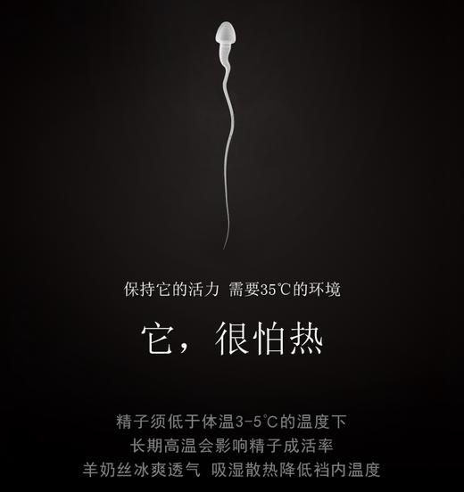 【冰犀牛磁石裤 降温透气零负担 】透气能量冰薄透速干平角裤 商品图0