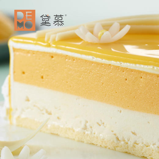 芒果椰子冰淇淋蛋糕 |Mango Coconut Ice Cream 商品图4