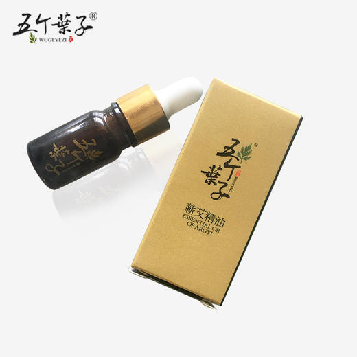 【艾绒灸精油】蕲艾精油艾叶精油艾草精油艾灸按摩刮痧通络蕲艾油 商品图3