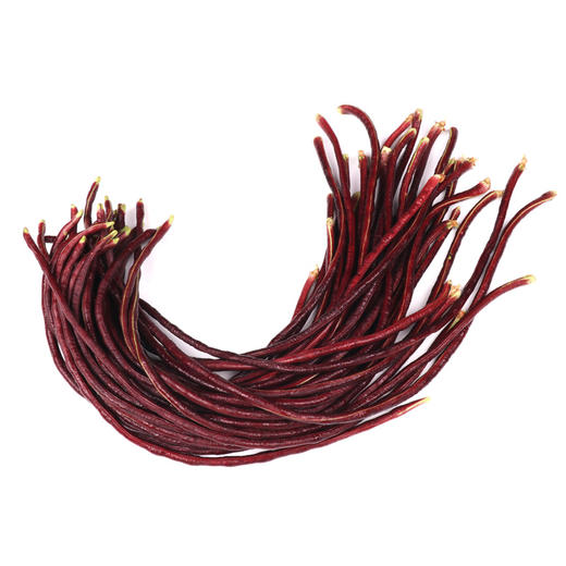 有机豆角 红豆角 500g