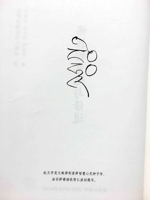 精装佛教的见地与修道 (精) 宗萨蒋扬钦哲仁波切著 商品图2