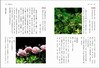 【中商原版】全唐诗植物学 全唐诗植物学 台版原版 潘富俊 猫头鹰 商品缩略图2