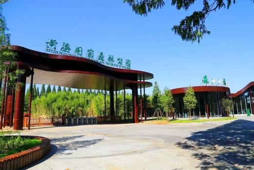 跟着课本去游学中华麋鹿园弶港滩涂赶海拾蛤蜊尽享海鲜大餐