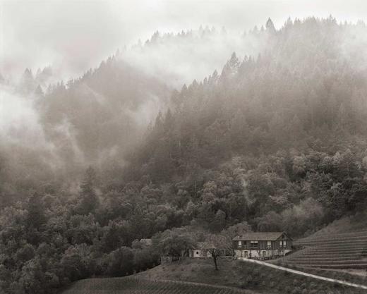 法国路易亚都雅克城堡红（风车温慕林）2020Louis Jadot Chateau des Jacques Moulin-a-Vent, Beaujolais, France 商品图2