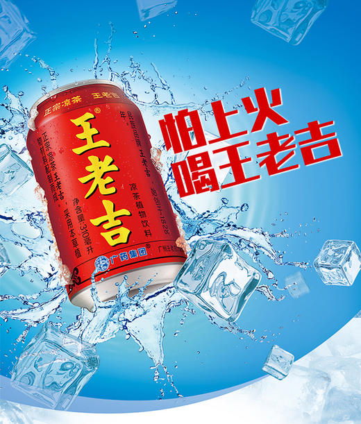 王老吉凉茶听装饮料礼盒310ml*20 商品图1