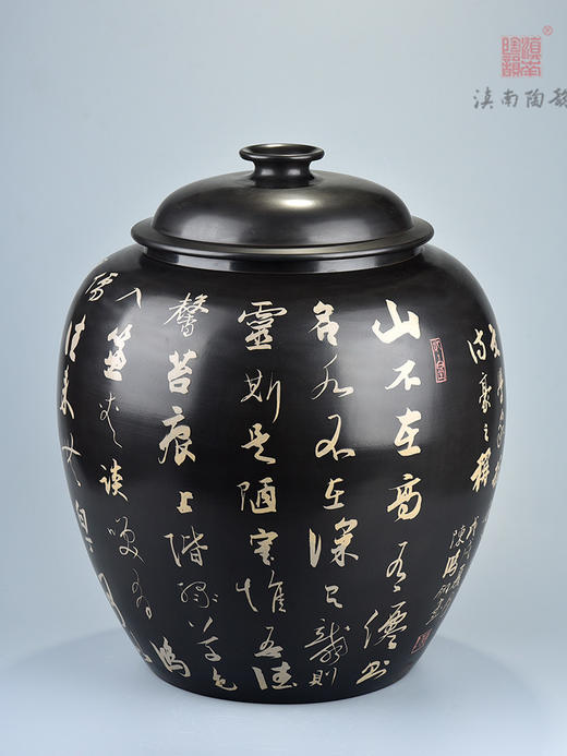 陈鸿翎净水缸 商品图0