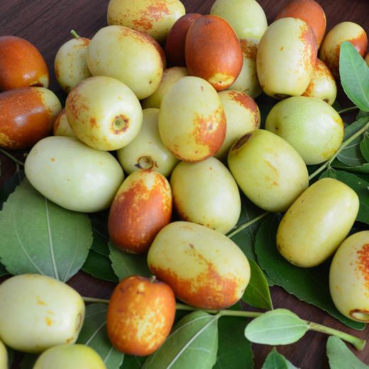 云南蒙自金丝蜜枣青枣脆甜枣子新鲜水果5斤装