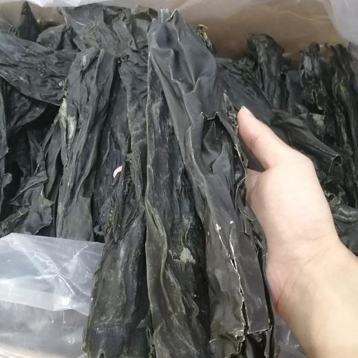 福建霞浦干海带，肉质厚实，口感软嫩滑爽，软，好吃，适合炖着吃，不建议做凉拌海带 满88包邮 商品图0