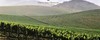 法国路易亚都雅克城堡红（风车温慕林）2020Louis Jadot Chateau des Jacques Moulin-a-Vent, Beaujolais, France 商品缩略图3