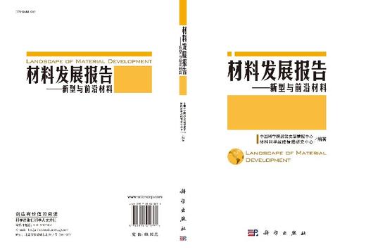 材料发展报告新型与前沿材料 商品图3