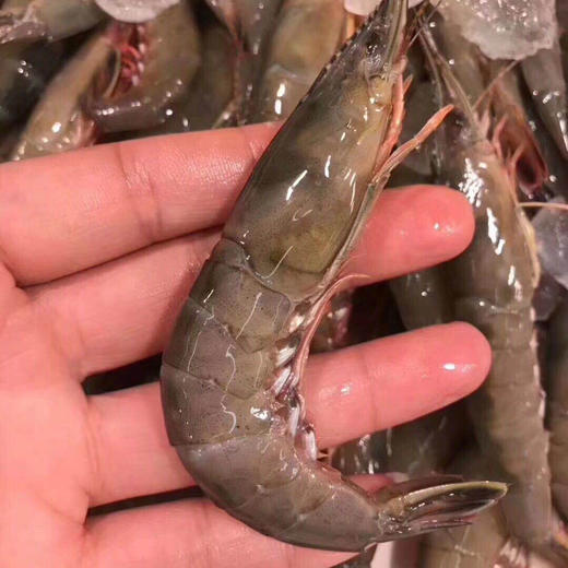 东海舟山青壳滑皮虾每份1斤个头很大很鲜美