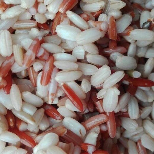 生态发芽糙米线，红，黑，白，黄，绿(辣木米线)，适合长期白米白面人群 商品图2