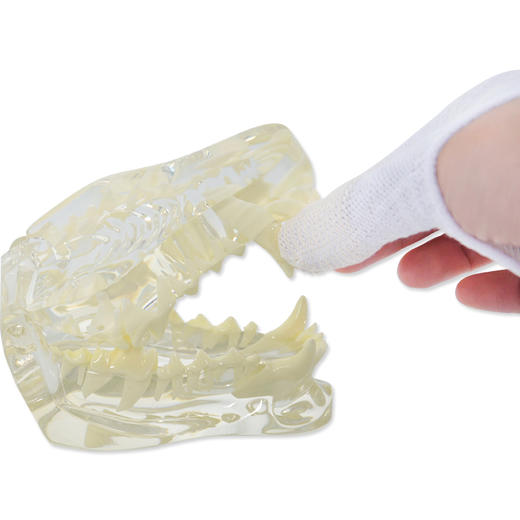 日本Mindup刷牙手指套 商品图4