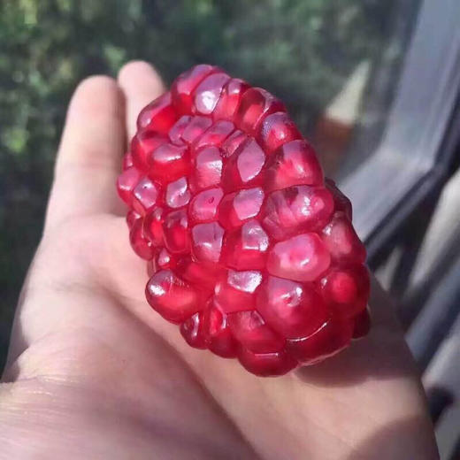 天然的雅诗兰黛👉突尼斯软籽石榴~每天雅诗兰黛红石榴七件套，不如一天一只红石榴 商品图9