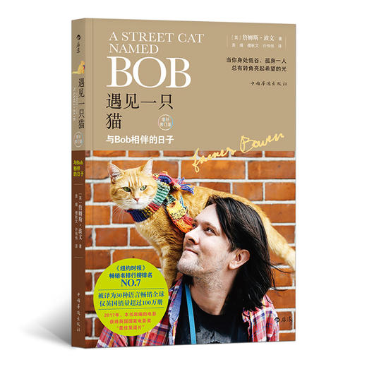 遇见一只猫 与Bob相伴的日子（流浪猫Bob，为你讲述有关生存、责任、尊重与爱的故事） 商品图0