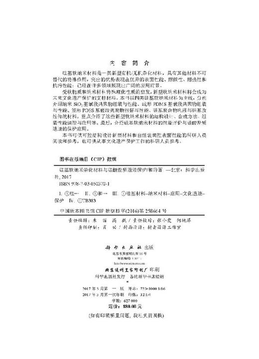 硅基软纳米杂化材料与硅酸盐质遗迹保护 商品图2