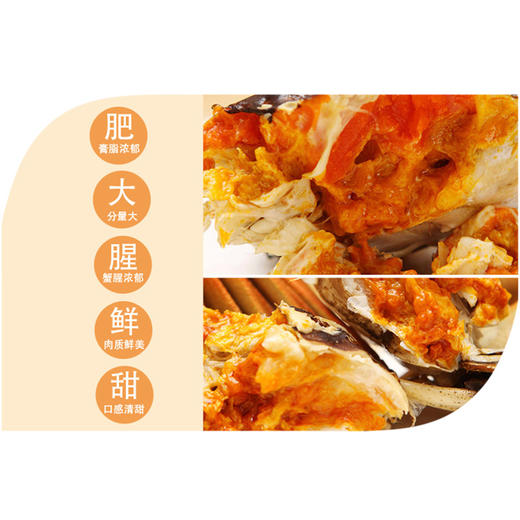 熊猫有礼中秋钜献 | 正宗“阳澄湖牌”阳澄湖大闸蟹卡券 商品图3
