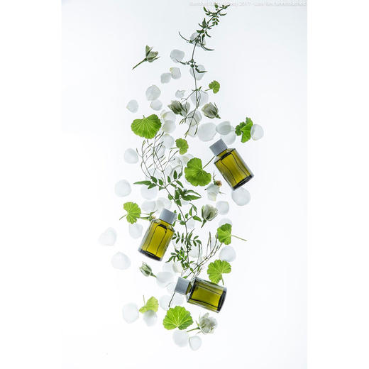 bamford 植萃润唇膏 15ml【宁波保税仓发货】 商品图1