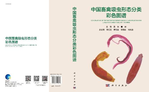 中国畜禽吸虫形态分类彩色图谱 商品图3