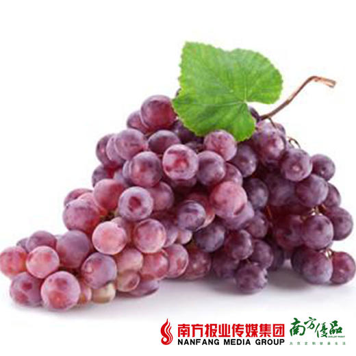 【果肉脆甜】新疆特级红珍珠无核葡萄 2斤 商品图0