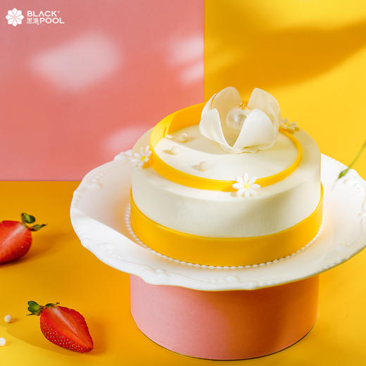 （限南山区订购，其它地区缺货不可购）酸奶红丝绒慕斯 Yoghurt Red Velvet Mousse 商品图0