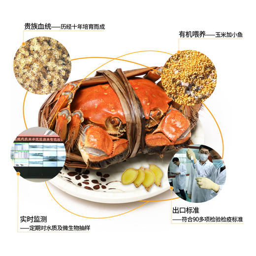 熊猫有礼中秋钜献 | 正宗“阳澄湖牌”阳澄湖大闸蟹卡券 商品图2