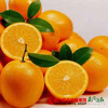 【香甜爽口】南非甜脐橙/金巴利橙 6颗 商品缩略图1