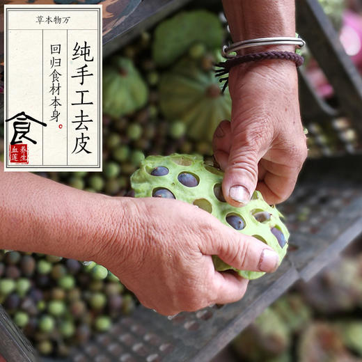 万物本草 带心红莲/去心白莲   宣平贡莲 血莲 莲子 商品图5
