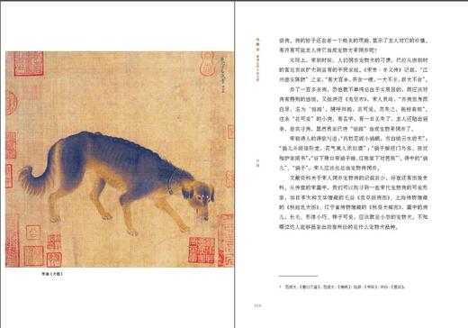 新民说 风雅宋:看得见的大宋文明 吴钩说宋 精选360多张宋代写实画作 中国历史 风俗礼仪 广西师范大学出版社 商品图3