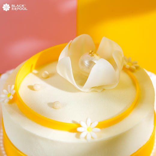 （限南山区订购，其它地区缺货不可购）酸奶红丝绒慕斯 Yoghurt Red Velvet Mousse 商品图1